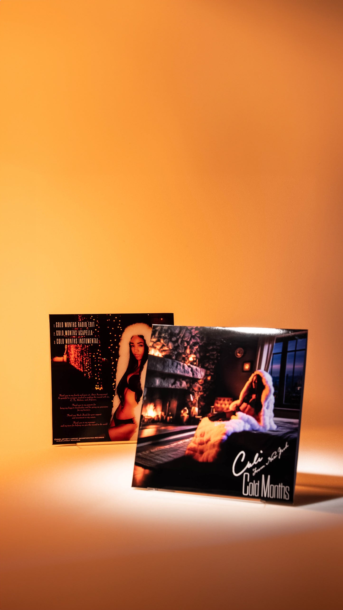 Limited Edition Cold Months Vinyl